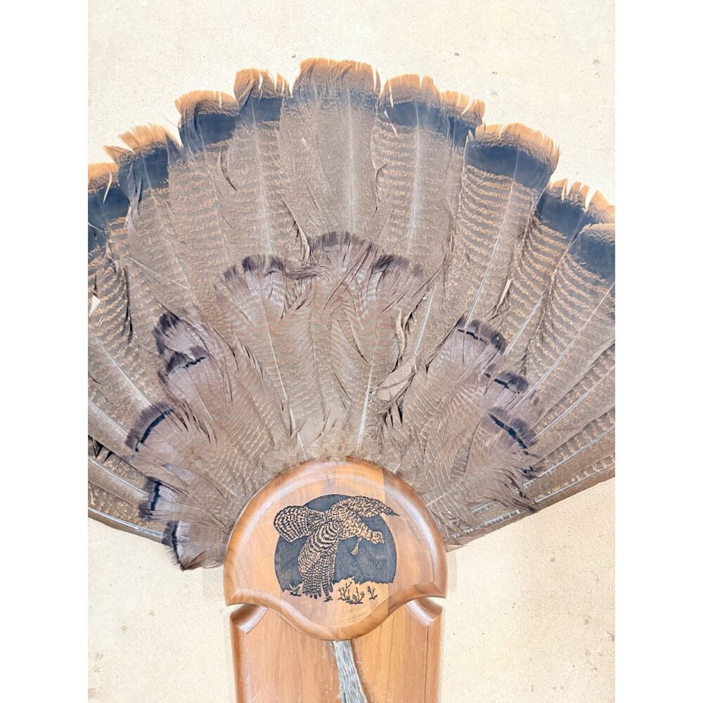 Hunting Mount Wild Turkey Hunt Trophy Tail Beard Mount 29” Wood Plaque Panel Tax - Picture 5 of 12